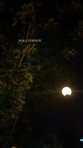 Y finalmente nos demos...  #vidaenelespejo #enjambre #cancion #letra #fyp 