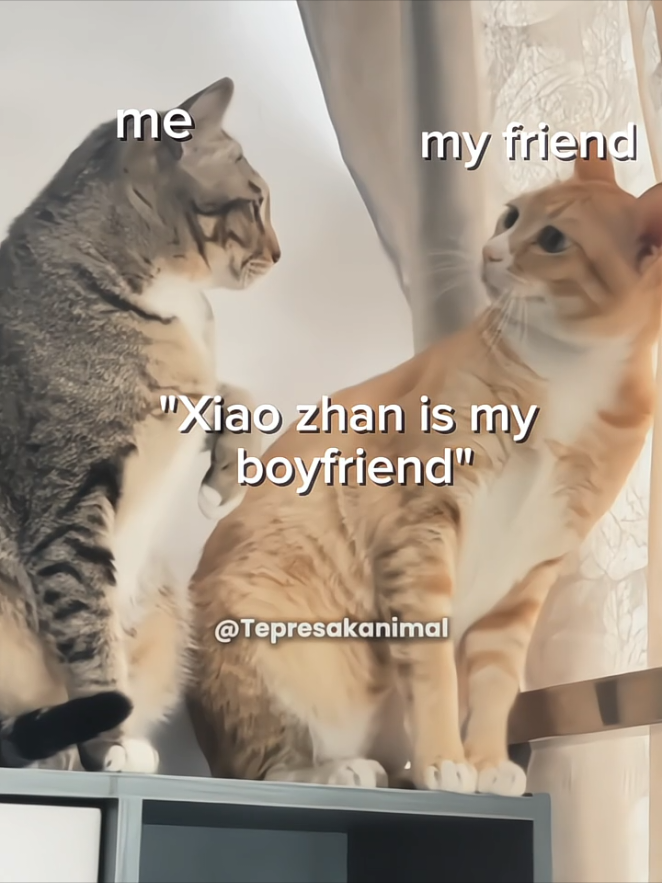 ...  #Xiaozhan #xfx #zhan 