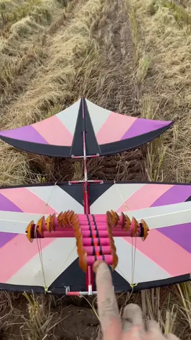 🔥Lên cho ae bộ  nhạc cỏ 💥#dieusaovietnam #xuhuong #sapnhac #xh #dieusaothaibinh 