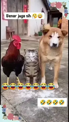 Baku tuduh lagi. 🤣🤣🤣🤣🤣