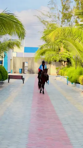 Casimada nahay ader🐎🦁🫡#murusade❤💪👈 #karanlekibirjabshe🦁 #murusade__girl🦋🖇❤ #karanlenimo🦁💙💚💪 #vivakaranle🐎 #somalia🇸🇴 