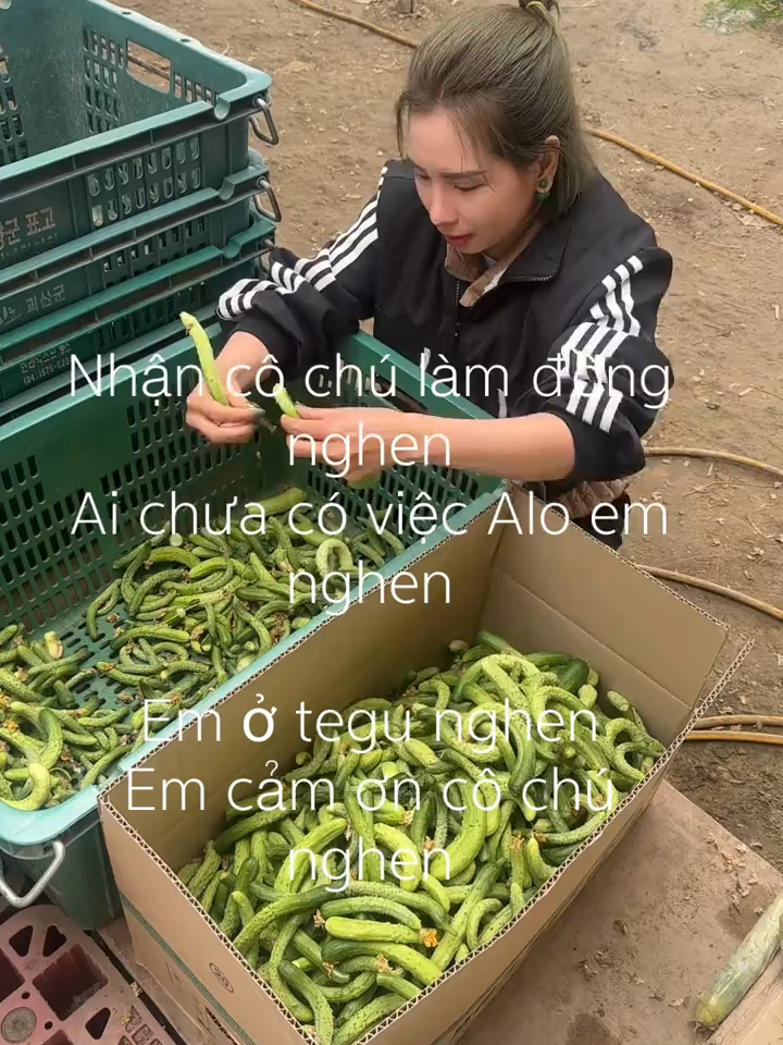 Mại zô