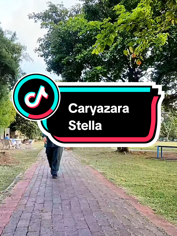 Effortless look, endless compliments — pakai Stella Suit, terus ready to slay hari ni #caryazara #stella #suit #caryazaralovers 