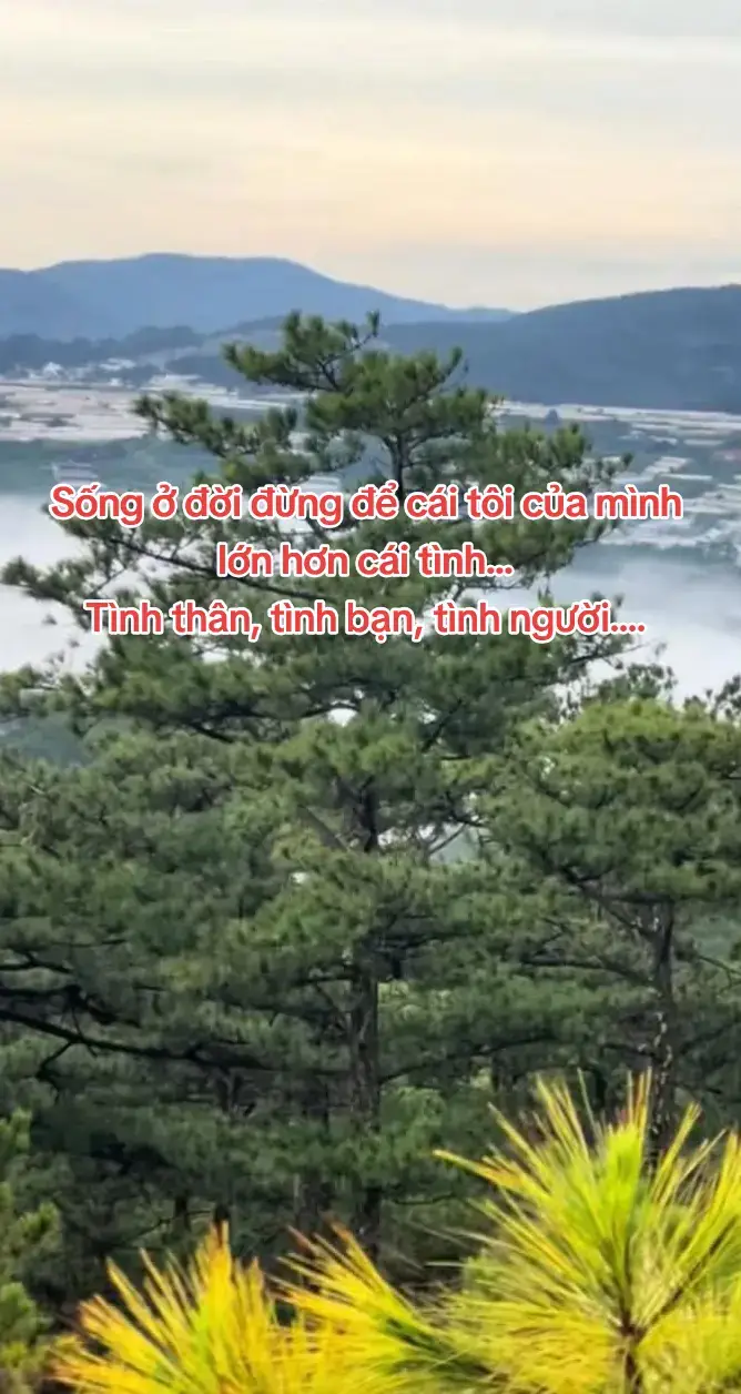Càng có tuổi càng thấy những mốc thời gian một năm, ba năm, năm năm hay mười năm cũng ngắn ngủi.  Lòng mong chờ thì thời gian ì ạch,  khi lo âu đếm ngược thì thời gian như gió thoảng qua trời.  Lòng vui sướng thì thời gian quên tuổi,  khi khổ đau hãm vây thì thời gian dặm thêm đường nét hao gầy.  Thời gian vẫn đấy. Chỉ có ta đang mang trong mình những trăn trở nào, kéo thời gian về mênh mông hay giam cầm chúng trong lòng. Mỗi khi những cái kỷ niệm nhắc hay một chuyện cũ hiện ra, mình bất ngờ quá. Có lẽ mình đã sống như thế này lâu quá nên mười năm với mình nhanh vô cùng.  Có lần gặp một người bạn cũ, thấy bạn con cái đã lớn, mình mừng cho bạn. Bạn hỏi “Cậu được mấy bé rồi?”. Mình chỉ cười. Không nhớ nổi đã từng cùng bạn lê la quán cóc Sài Gòn, đã từng cùng nhau mộng mơ tuổi trẻ mà giờ gặp nhau, mình vẫn quần jean áo phông đi giày thể thao hay đùa, có phần hơi trẻ con, gặp bạn nghiêm nghị tay bồng tay bế. Bạn đã quên mất những trò đùa hai mươi.  Mà cũng phải, chỉ có mình là vẫn ở đây, ôm ấp những ngày mơ thôi. Thế gian đã trưởng thành hết cả rồi! Mười mấy năm, ai nhớ ai quên. Cũng có khi tự hỏi, Sao mình vẫn còn mải miết nhìn ngắm thế giới thênh thang dẫu đời mình cũng lắm khúc cua, ngã nhào đau đớn…