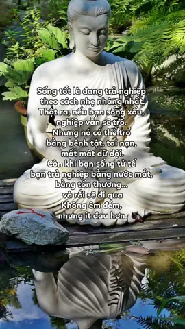 Nam Mô A Di Đà Phật #xuhuong #phatdaovothuong #niemphat #vongtramtienhuong #phatphap 