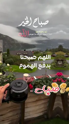 دعاء الصباح اللهم إني أسألك الثبات في الأمر  وأسألك العزيمة على الرشد وأسألك شكر نعمتك وحسن عبادتك  وأسألك قلبا سليما ولسانا صادقا وأسألك من خير ما تعلم وأعوذ بك من شر ما تعلم وأستغفرك لما تعلم، إنك أنت علام الغيوب #صباحكم_أحلى_صباح #صباحكم_معطر_بذكر_الله #صباح_الورد #صباح_الخير #صبحكم_الله_بالايمان_وطاعة_الرحمن 