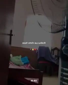 තක දොං බං 😹