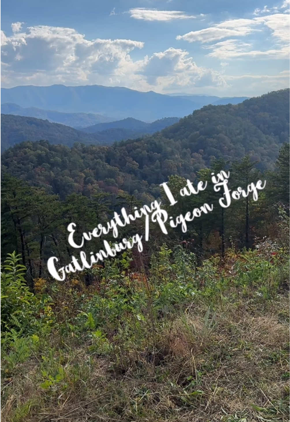 Everything I ate in Gatlinburg/Pigeon Forge! #whatiate #gatlinburg #pigeonforge #food