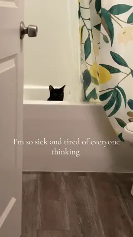 This is exactly what I imagined he was thinking #blackcatsoftiktok🐈‍⬛ #trending 
