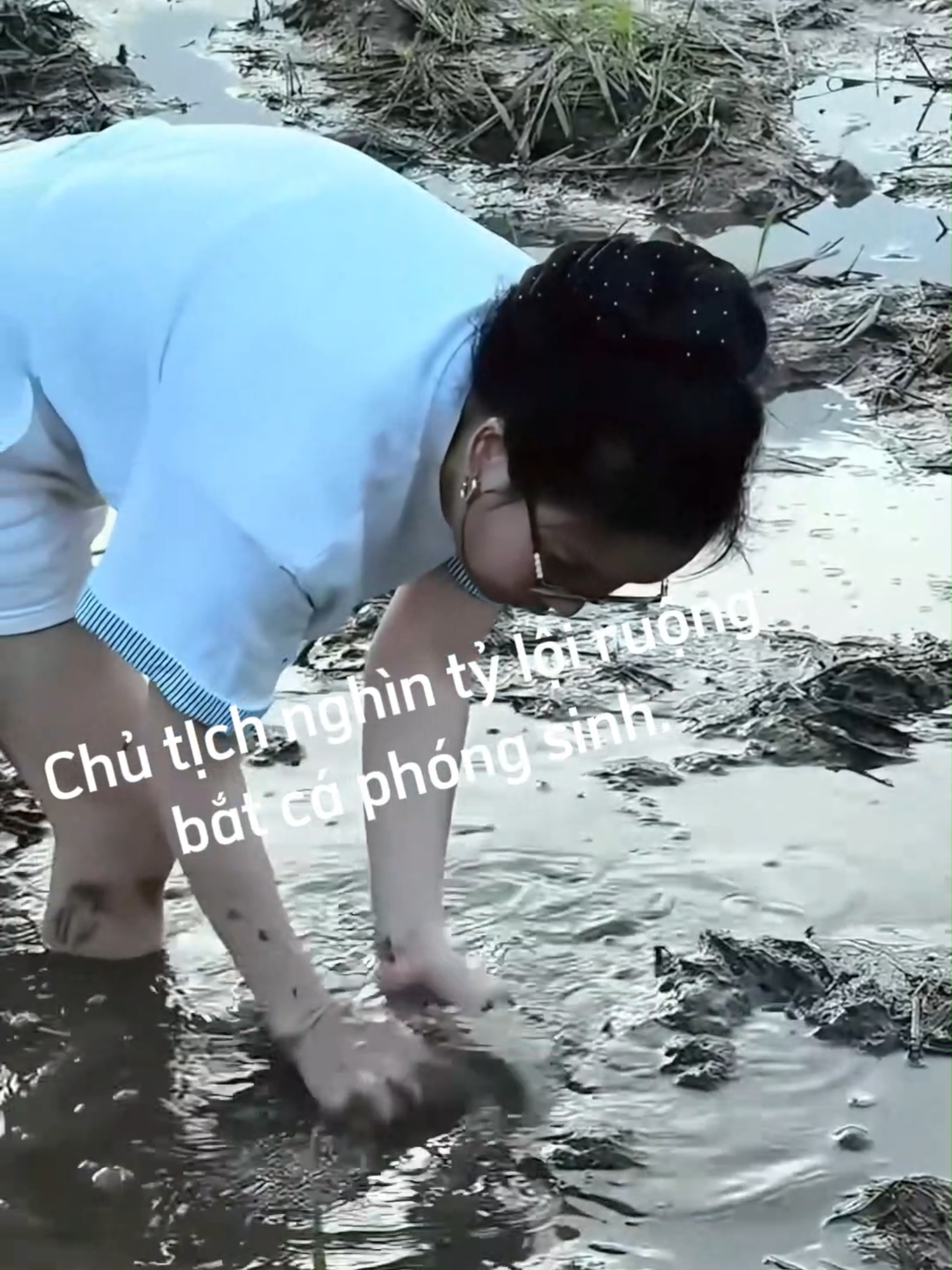 Chủ tỊch nghìn tỷ lội ruộng bắt cá phóng sinh. đúng là do xuất thân từ nghèo khó nên cgi c Mailisa cũng làm được #mailisa #sepmailisa #tiktokgiaitri #giadinhmailisa