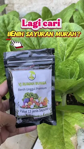 paket benih bibit 13 macam+1 bonus jagung + polybag semai + cara tanam hanya 10ribuan 👆🏻👆🏻 #vjrumahbunga #kebunvjrumahbunga #benihseribuan #benihsayuran #benihsayur 
