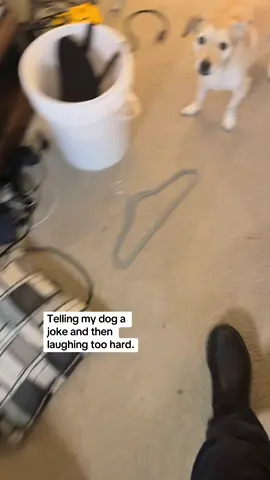 Whenever he encounters something new he thinks it means treats so he’s not even phased.