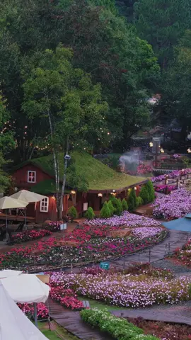 Một mình giữa khoảnh khắc chiều xuống, cảm giác lòng thật nhẹ tênh - Suối Bình Yên #dalat #suoibinhyen