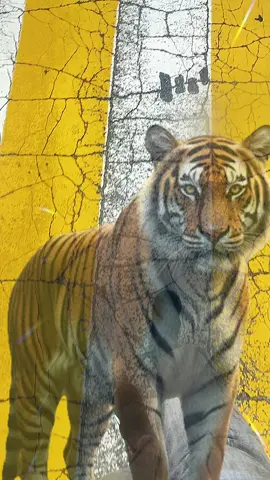 Tuổi Dần mạnh mẽ, kiên định và có ý chí vươn lên. Họ thông minh, quyết đoán, luôn muốn khẳng định bản thân trong mọi việc. Cuộc sống tuổi Dần gặp thử thách nhưng càng khó khăn càng tỏa sáng. Tình duyên chân thành, sự nghiệp tiến triển ổn định. Khi biết kiểm soát cảm xúc, tuổi Dần dễ gặt hái thành công và hạnh phúc viên mãn.