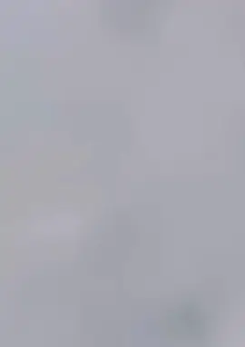 🌹 ৪️⃣ “যেখানে ফুল, সেখানেই সৌন্দর্য 🌷” #BeautifulNature #FlowerVibes #NatureLover #BloomingNature #বাংলাফুল 