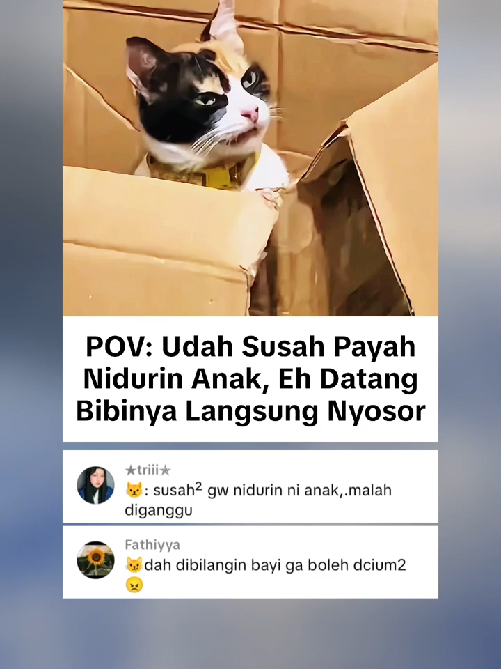 Aura Dihnya Kuat Banget 😾#fyp #ngakakkocak #foryoupage #fypシ゚viral🖤tiktok #memes #meow #oyen