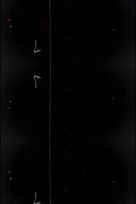 #🤟🤟🤟🤟🤟🤟🤟🤟🤟🤟🤟🤟🤟🤟🤟 #😡😡☠️☠️☠️☠️ #😡😡☠️☠️☠️☠️ #🤟🤟🤟🤟🤟🤟🤟🤟🤟🤟🤟🤟🤟🤟🤟 