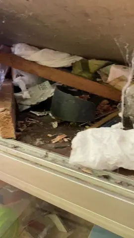 sampe gemeter ya allah😭 aku penjaga konter awal mungkin si tikus cuma bawa 1k 2k 5k 50k tapi tidak bebarengan ambil uangnya,dan aku ngga ngeh sama sekali kali uang berkurang,tadi pagi berangkat kaget kok uang tinggal sedikit aku pernah liat tikus bawa plastik ke etelase yang kosong,dan aku ngide coba ah siapa tau di bawa tikus dan ternyata dugaanku benarr,ya allah gemeter sebadan badan ini yang namanya rejeki ngga kemana🤣 #fyppppppppppppppppppppppp #tikusberdasi #harusfyp 
