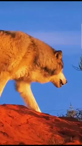 #reflexiones #motivation #frases 