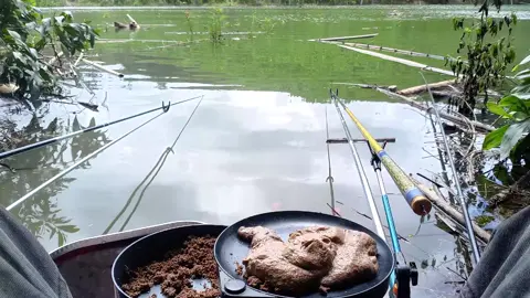 câu theo thời điểm ⚓🐟😆