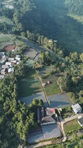 vibes pedesaan masih terasa banget di villa banitarra ini🍃 kapasitas max 25 orang 📍 Lembah neundeut, puncak #vilarian #puncakbogor #sewavillapuncak #sewavillapuncakmurah 