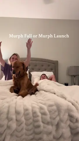 That may be the slowest one yet #goldenretriever #dogtok #dogtokers #goldenretrieverlife #puppytiktok 