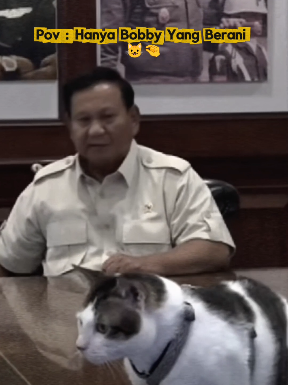 Mentang-mentang anak bontot, Bapaknya di kerjainn 😆🙏🤣 #bobbykartanegara #kucingkampung #foryoupage #fyp #prabowosubianto 