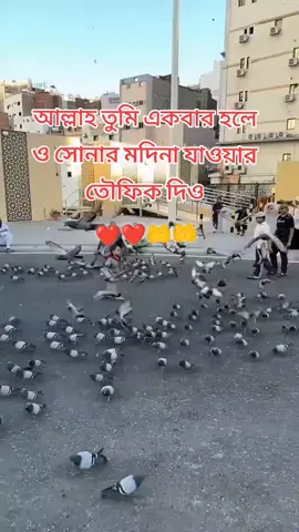 #duet with @✯Md Shoaib✯ #সৌদি_প্রবাসীর🇧🇩💓🇸🇦বউ🥰 #makkah 