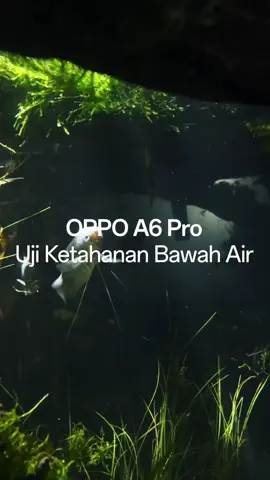 #OPPOA6Pro sinyalnya tetap stabil meski livestream di bawah air! 🤿🤳🏻 🆕 Dukungan IP66, IP68, IP69 dan Al Linkboost 3.0 menjadikan smartphone ini partner tepat kamu untuk eksplor berbagai aktivitas meksipun harus di bawah air! 🫧🌊 Eksplorasi hal baru dimulai dengan beli OPPO A6 Pro sekarang juga, hanya di store kami dan dapatkan benefit up to 2.4jt ✨💸 #PerformaLancar5Tahun #OPPOBigKarawang