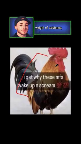 please feel free to share your thoughts & observations! #meme