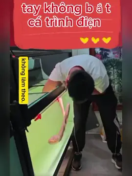 cá trình điện là một loài có khả năng tạo ra điện...#ca #yeu 