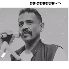 #محمد_النصري #محمد_النصري_زول_خرافي💕❤️✨ #الشعب_الصيني_ماله_حل😂😂 #بدون_هشتاق 