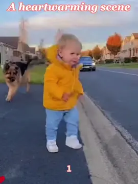 Dog alway protect baby in critical moment #baby #dog #protect #Love #tiktok