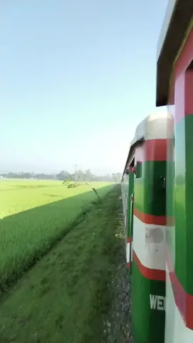 ব্রহ্মপুত্র এক্সপ্রেস দিয়ে ঢাকা আসার সময় #railway #railfan #railvideo #railbangladesh #bangladeshrailway 