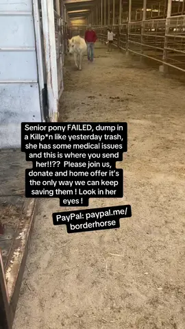 #help  #animals  #horse  #horses  #rescue  we need your help! Home offers and donations to keep us saving ! 