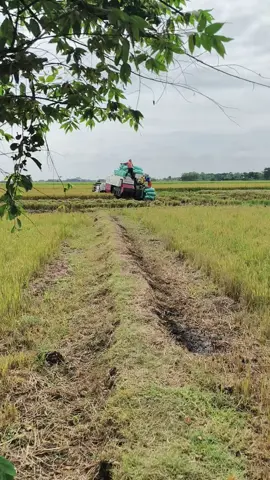 sess#maxxibimo102 #gabahbojonegoro #gabahbalap🌾 #bjn24jam 