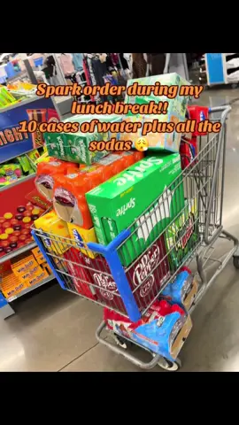 At least I had company 🤣 #spark #walmartdelivery #walmart2hrexpress #walmartshopping #walmart 