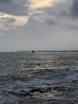 cuộc sống anh là thế