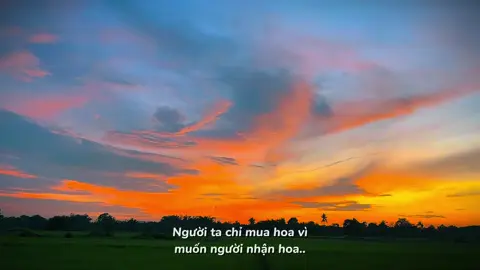 Người ta chỉ mua hoa..vì muốn người nhận hoa..#tamtrang #nhactamtrang #nhachaymoingay #viralvideo #xuhuong 