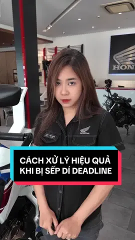 Cách xử lý hiệu quả khi bị Sếp dí deadline @tructranbiker #biker #nubiker #bikergirl #hondaphattien #hondamotophattien 