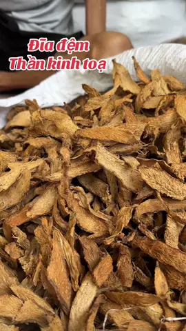 #thoatvidiadem #thankinhtoa #tebichantay #daumoivaigay #xuongkhop 