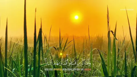 -//- মনটা শীতল হয়ে গেল কোরআন তিলাওয়াত শুনে...!!👂🫀 #repost #islamic_life_style #এসো_ইসলাম_এর_পথে_চলি🤲🕋 #ownvideo #islamic_video 