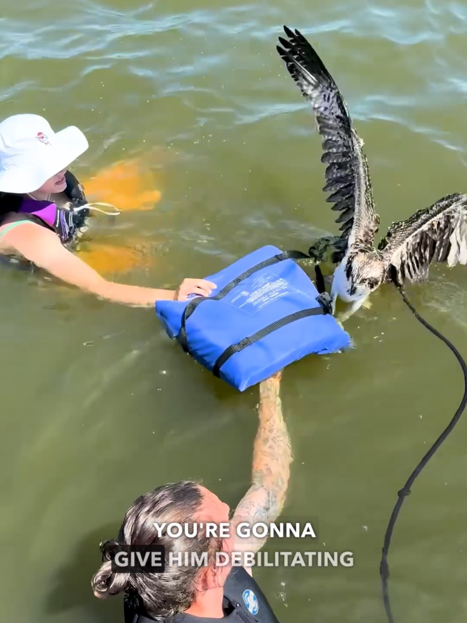 Here's me commentary on a cranky pants Osprey gettin' rescued 🎙🔊 (sauce via Jessica Salmons) #ozzymanreviews #aussie #birds