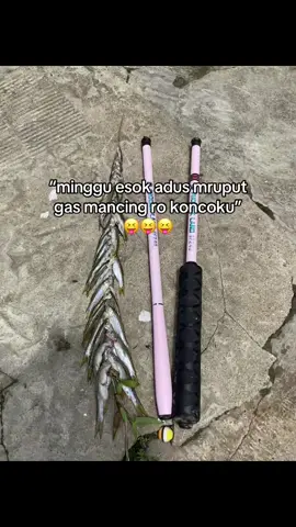 Ayo”🤳 #microfishing #waderpari #kencengan #fyp #4u #foryou #masukberandafyp #fypdongggggggg #katakatajawa 