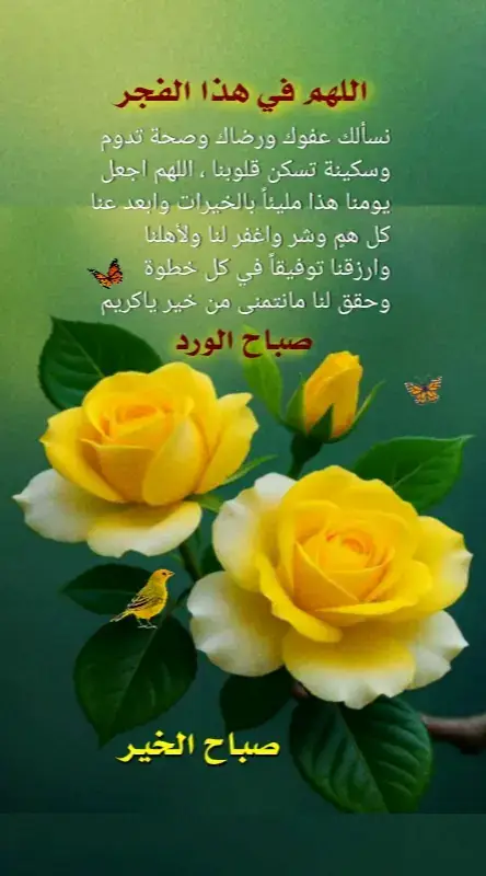 #صباحكم_أحلى_صباح🌹🌹  #صباح_السعادة_والرضا 