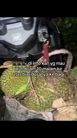 ninja durian🍈 #durian #musimdurian #jagadurian #ninjadurian 