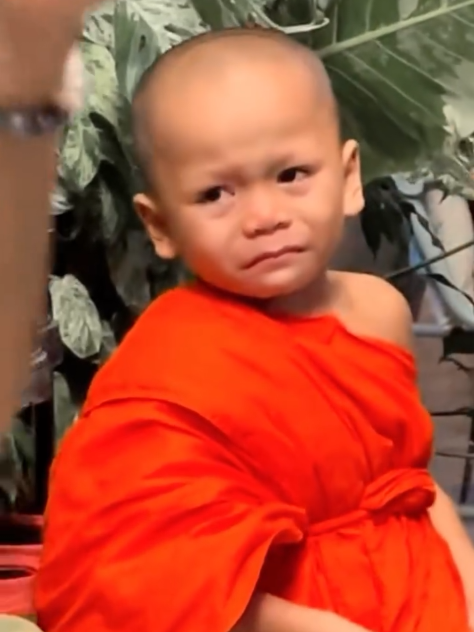 පොඩි හාමුදුරුවෝ #Amma #Buddhism #DhammaTV #SelfControl 