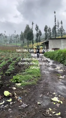 semangat pak sapi’i  #kolbromo