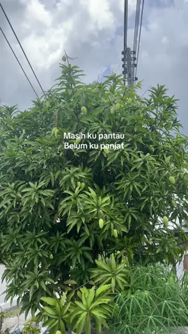 🤣🤣