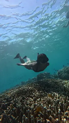 Snorkeling and meet friendly turtles  #snorklingtrip #gilitrawangan #turtles #lombok #trip 
